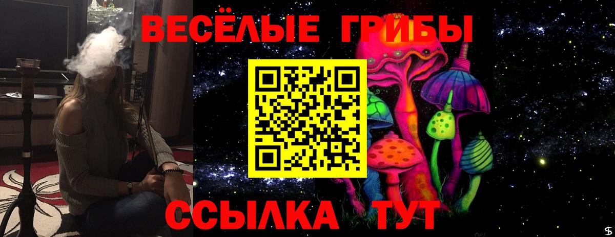 Кызыл  Галлюциногенные грибы мухоморы  Галлюциногенные грибы Psilocybine cubensis  Вход с VPN 